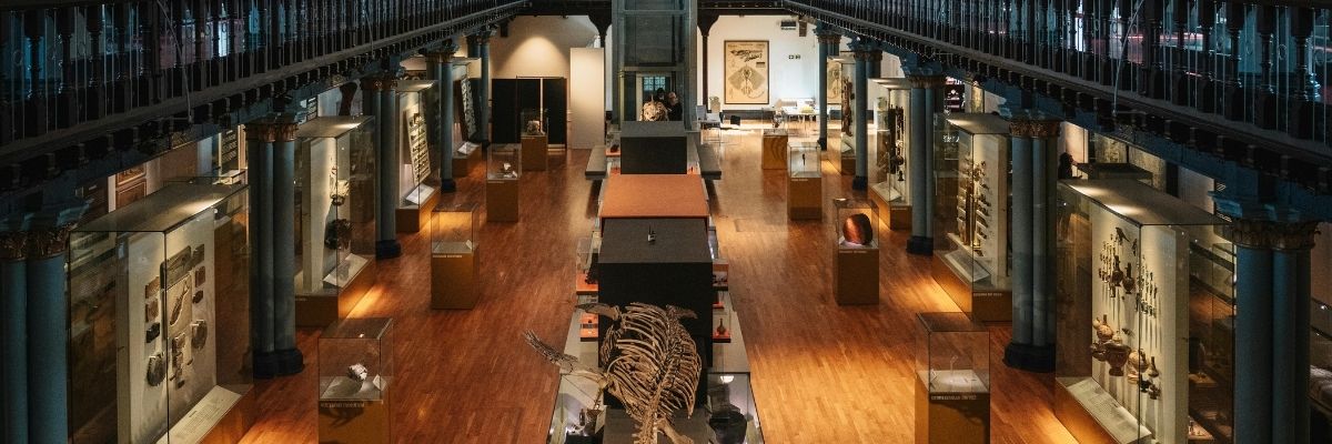 Dünya Müzelerinde Sergilenen En Etkileyici 10 Tarihi Mektup